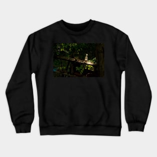 Bottled Magic Crewneck Sweatshirt